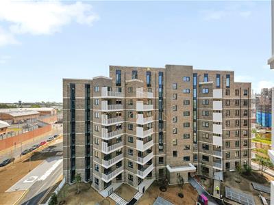 Picture 16